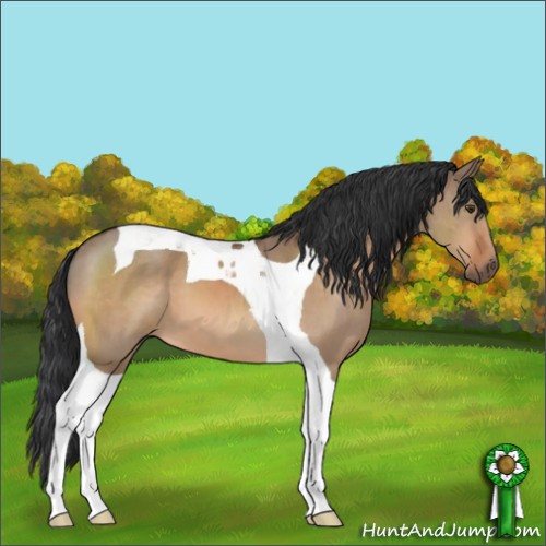 Horse Color:Brown Dun Tobiano 