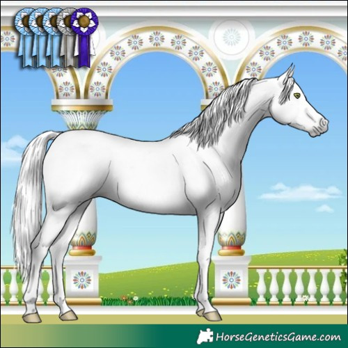 Horse Color:Gray Sable Champagne Dun Sabino Splash Tobiano