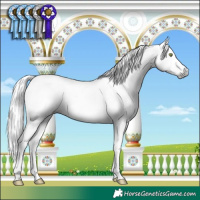 Horse Color:Gray Sable Champagne Dun Sabino Splash Tobiano 