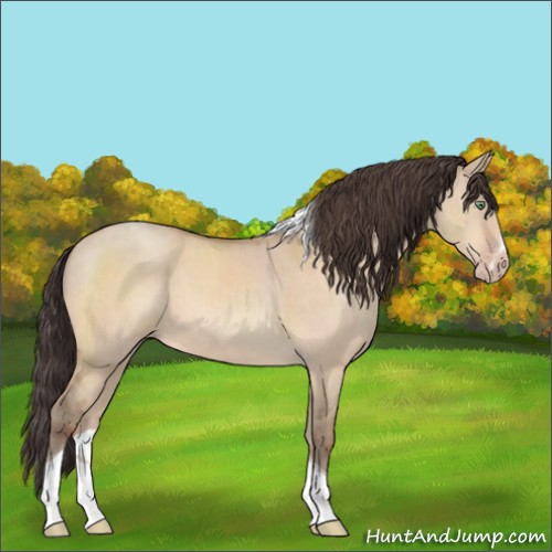 Horse Color:Amber Champagne Dun Sabino Tobiano 