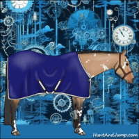 Horse Color:White Spotted Bay Dun