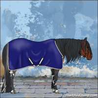 Horse Color:White Spotted Brown 