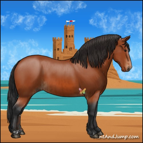 Horse Color:Bay Sabino Rabicano  and Bay Sabino Rabicano 