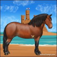 Horse Color:Bay Sabino Rabicano and Bay Sabino Rabicano