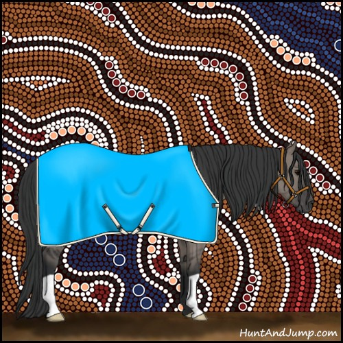 Horse Color:Grullo 