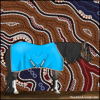 Horse Color:Grullo 