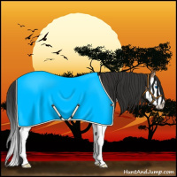 Horse Color:Bay Dun Sabino Splash 