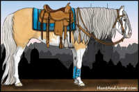 Horse Color:Silver Buckskin Sabino Splash