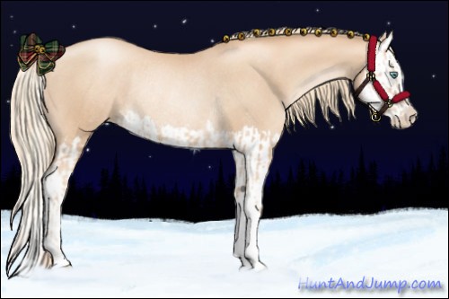 Horse Color:Gold Champagne Pearl Rabicano  and Gold Champagne Pearl Splash Rabicano 