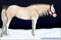 Horse Color:Gold Champagne Pearl Rabicano and Gold Champagne Pearl Splash Rabicano