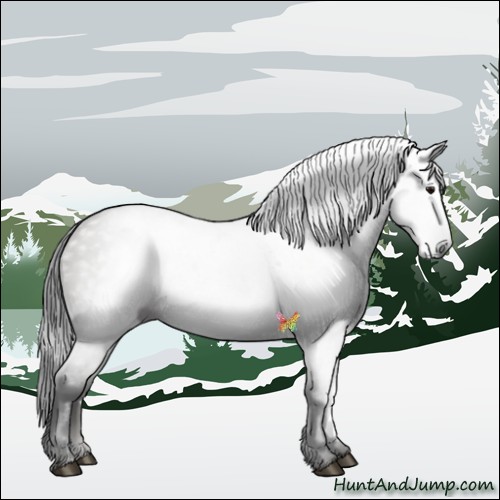 Horse Color:Gray Grullo Roan 
