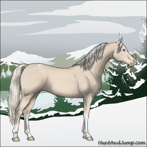 Horse Color:Cremello Tobiano 