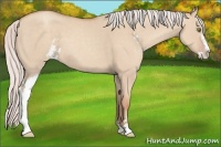 Horse Color:Silver Classic Champagne Dun Sabino