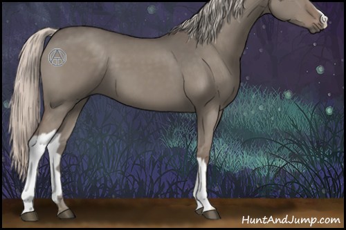 Horse Color:Silver Grullo