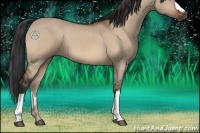 Horse Color:Brown Dun