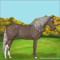 Horse Color:Silver Black 