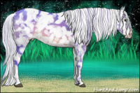 Horse Color:Watercolor White Spotted Silver Brown Tobiano Blanket 