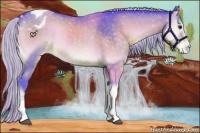 Horse Color:Watercolor White Spotted Silver Brown Onyx Tobiano Snowflake Varnish 