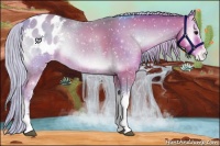 Horse Color:Watercolor White Spotted Silver Brown Onyx Tobiano Appaloosa 