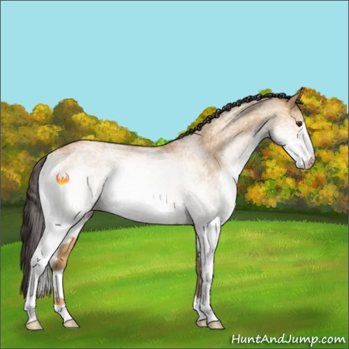 Horse Color:White Spotted Buckskin Dun 