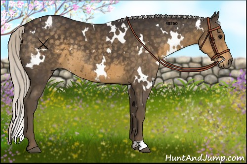 Horse Color:White Spotted Silver Smoky Black 