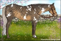 Horse Color:White Spotted Silver Smoky Black 