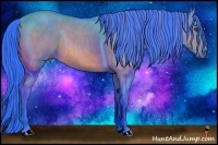 Horse Color:Watercolor Buckskin Brindle