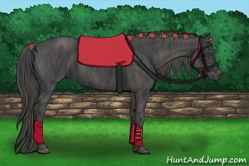 Horse Color:Black  Brindle