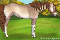 Horse Color:Red Onyx Roan Rabicano 