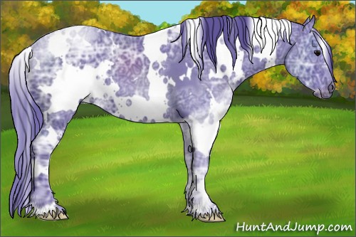 Horse Color:Watercolor White Spotted Black Ice 