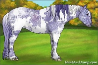 Horse Color:Watercolor White Spotted Black Ice 