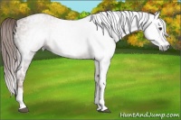 Horse Color:Gray Chestnut Ice Splash 