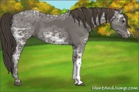 Horse Color:Smoky Black Ice 