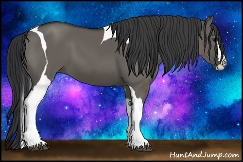 Horse Color:Grullo Splash Tobiano 