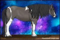 Horse Color:Grullo Splash Tobiano 