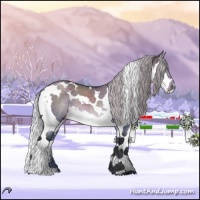 Horse Color:Silver Brown Chinchilla Dun Splash Tobiano 