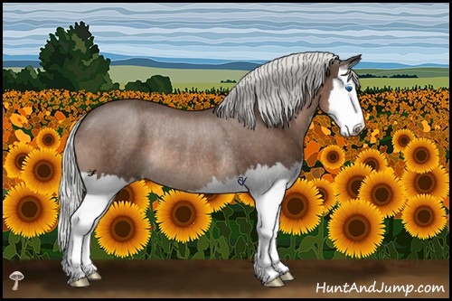 Horse Color:Liver Chestnut Mushroom Splash Rabicano 