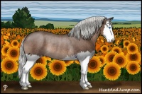 Horse Color:Liver Chestnut Mushroom Splash Rabicano