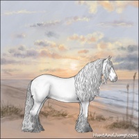Horse Color:Gray Grullo Chinchilla Sabino Splash 