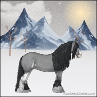 Horse Color:Grullo Chinchilla Sabino 