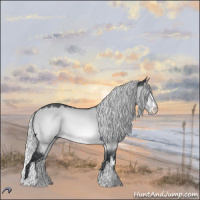 Horse Color:Silver Brown Chinchilla Dun Sabino 