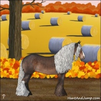 Horse Color:Liver Chestnut Mushroom 