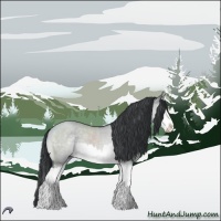 Horse Color:Brown Chinchilla Dun Splash 