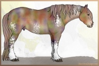 Horse Color:Nacre White Spotted Liver Chestnut 