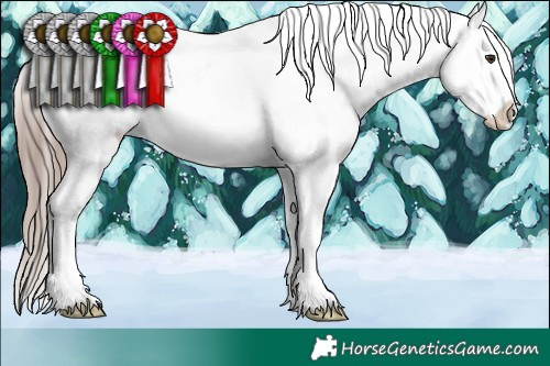 Horse Color:White Spotted Liver Chestnut Appaloosa Rabicano 