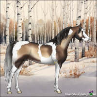 Horse Color:Liver Red Onyx Splash Tobiano 