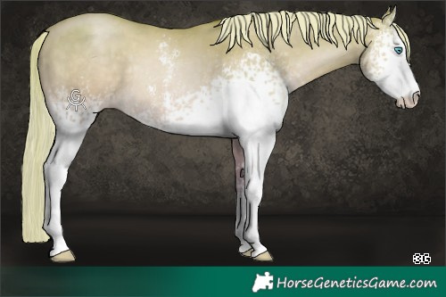 Horse Color:White Spotted Chocolate Palomino Pearl Sabino Rabicano