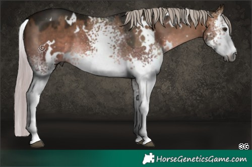 Horse Color:Gray Platinum White Spotted Silver Brown Dun