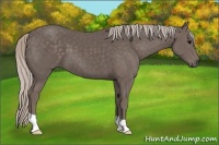 Horse Color:Silver Black 