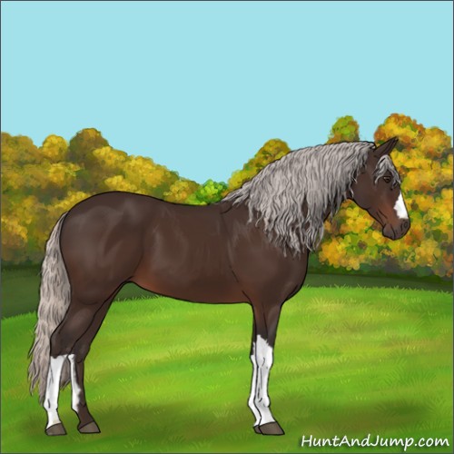 Horse Color:Silver Brown 